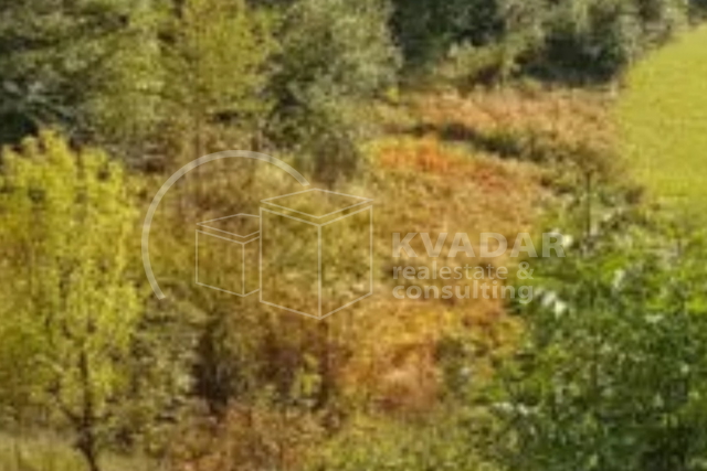 PRODAJA ZEMLJIŠTA / SMOLJANAC / 5500M2 / IZVRSNA LOKACIJA!