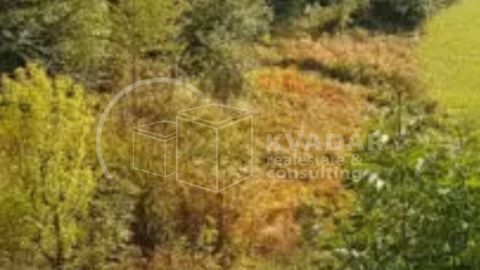 PRODAJA ZEMLJIŠTA / SMOLJANAC / 5500M2 / IZVRSNA LOKACIJA!
