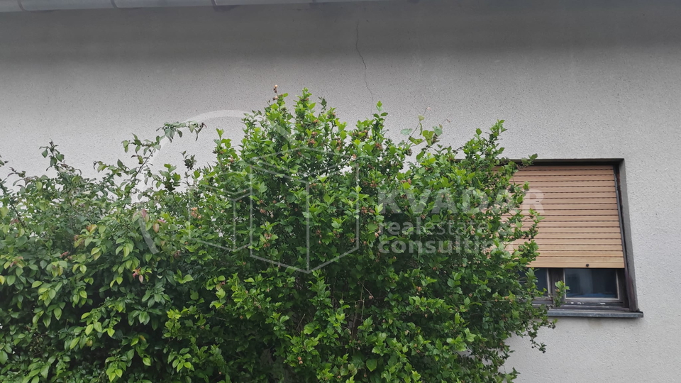 SISAK,CENTAR,KUĆA SA 2 DVORIŠNE ZGRADE I DVORIŠTEM.