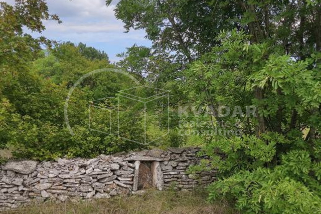 Land, 9964 m2, For Sale, Filipana