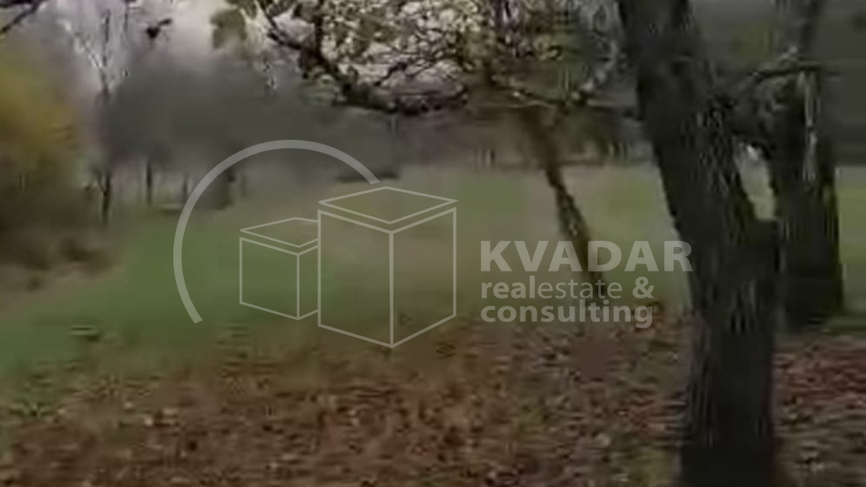 SUPER PRILIKA!DARUVAR, ŠKODINOVAC, POLJOPRIVREDNO ZEMLJIŠTE (3348 m2) SA 29 STABALA ORAHA