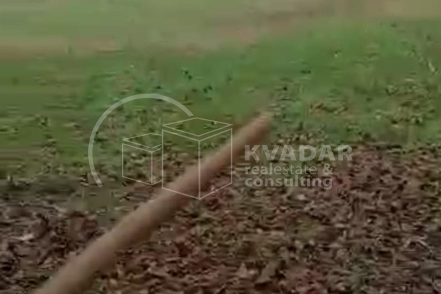 SUPER PRILIKA!DARUVAR, ŠKODINOVAC, POLJOPRIVREDNO ZEMLJIŠTE (3348 m2) SA 29 STABALA ORAHA