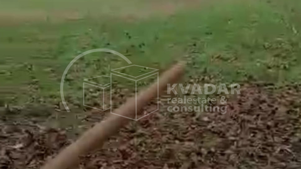 SUPER PRILIKA!DARUVAR, ŠKODINOVAC, POLJOPRIVREDNO ZEMLJIŠTE (3348 m2) SA 29 STABALA ORAHA