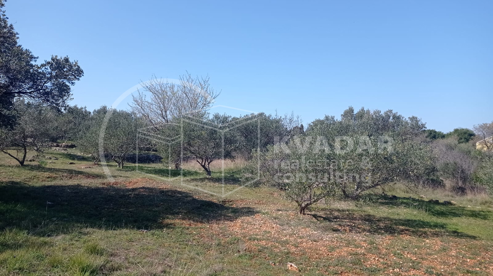 Otok Prvi&cacute;&sol;&Scaron;epurine&sol;gra&dstrok;evno zemlji&scaron;te 800m2&sol;60&period;000&euro;&excl;&excl;&excl;