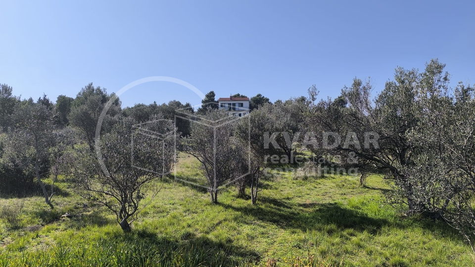 Otok Prvi&cacute;&sol;&Scaron;epurine&sol;gra&dstrok;evno zemlji&scaron;te 800m2&sol;60&period;000&euro;&excl;&excl;&excl;