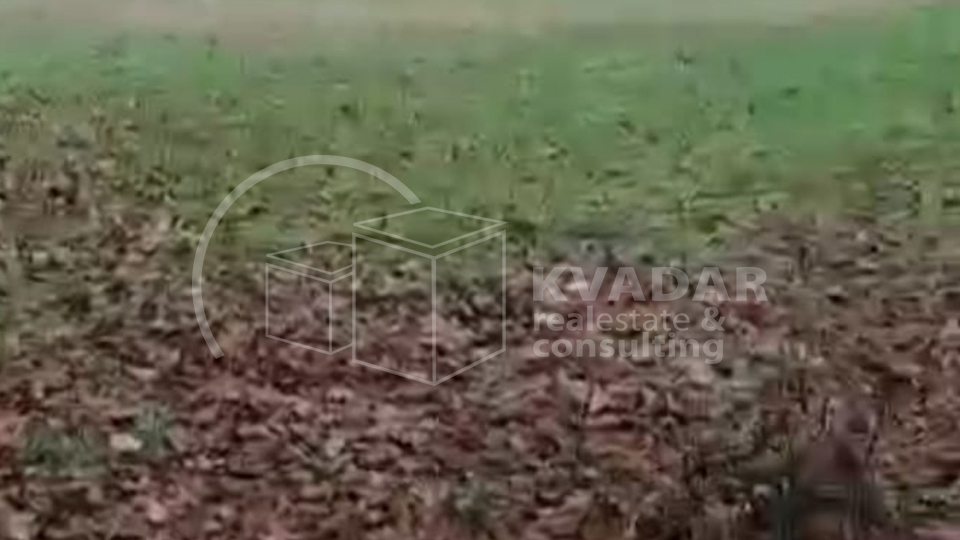 SUPER PRILIKA!DARUVAR, ŠKODINOVAC, POLJOPRIVREDNO ZEMLJIŠTE (3348 m2) SA 29 STABALA ORAHA