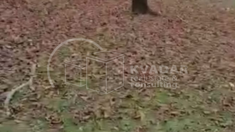 SUPER PRILIKA!DARUVAR, ŠKODINOVAC, POLJOPRIVREDNO ZEMLJIŠTE (3348 m2) SA 29 STABALA ORAHA