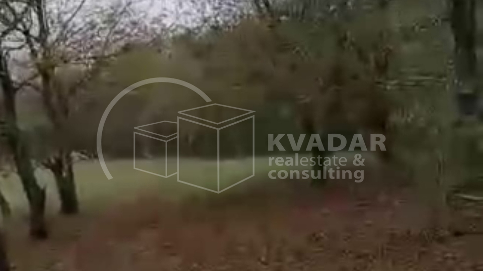 SUPER PRILIKA!DARUVAR, ŠKODINOVAC, POLJOPRIVREDNO ZEMLJIŠTE (3348 m2) SA 29 STABALA ORAHA