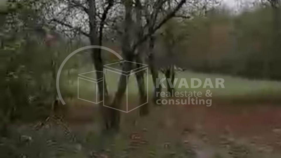 SUPER PRILIKA!DARUVAR, ŠKODINOVAC, POLJOPRIVREDNO ZEMLJIŠTE (3348 m2) SA 29 STABALA ORAHA