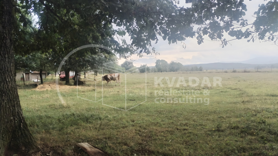JEDINSTVENA PRILIKA&excl;  Impozantno imanje s golemim turisti&ccaron;kim potencijalom &ndash; Ku&cacute;a 180 m&sup2;&comma; gara&zcaron;e&comma; radiona i top lokacija&excl;