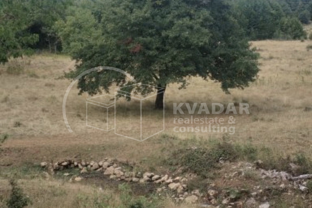 House, 180 m2, For Sale, Perušić