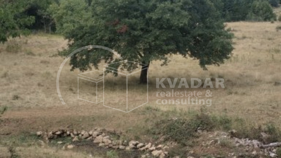JEDINSTVENA PRILIKA&excl;  Impozantno imanje s golemim turisti&ccaron;kim potencijalom &ndash; Ku&cacute;a 180 m&sup2;&comma; gara&zcaron;e&comma; radiona i top lokacija&excl;