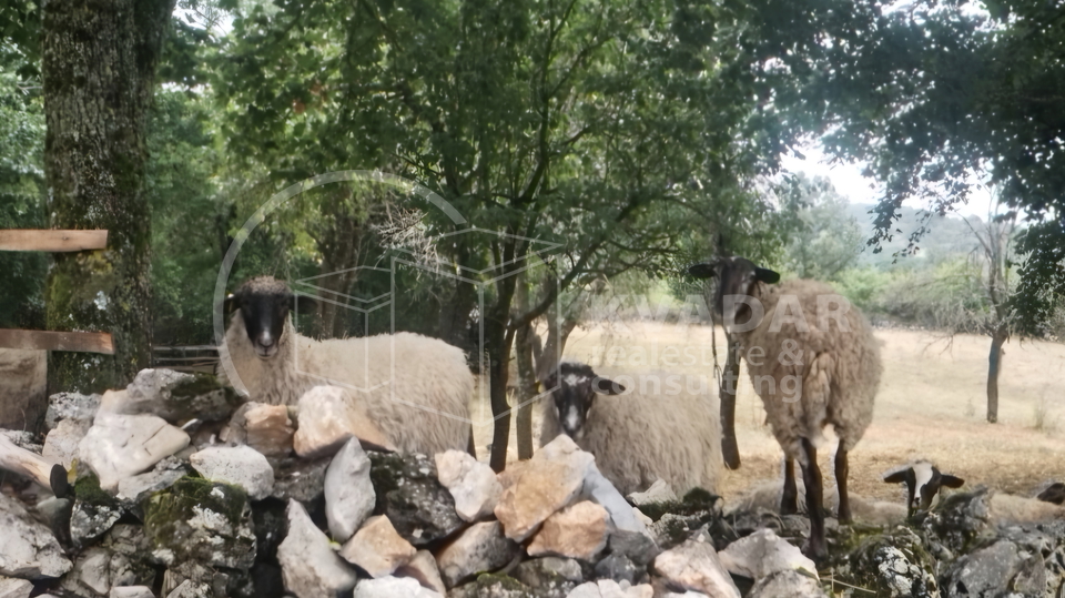 JEDINSTVENA PRILIKA&excl;  Impozantno imanje s golemim turisti&ccaron;kim potencijalom &ndash; Ku&cacute;a 180 m&sup2;&comma; gara&zcaron;e&comma; radiona i top lokacija&excl;