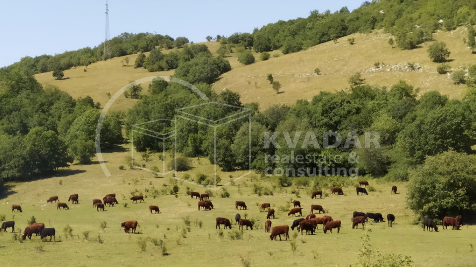 JEDINSTVENA PRILIKA&excl;  Impozantno imanje s golemim turisti&ccaron;kim potencijalom &ndash; Ku&cacute;a 180 m&sup2;&comma; gara&zcaron;e&comma; radiona i top lokacija&excl;