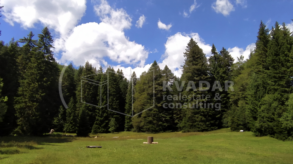 JEDINSTVENA PRILIKA&excl;  Impozantno imanje s golemim turisti&ccaron;kim potencijalom &ndash; Ku&cacute;a 180 m&sup2;&comma; gara&zcaron;e&comma; radiona i top lokacija&excl;