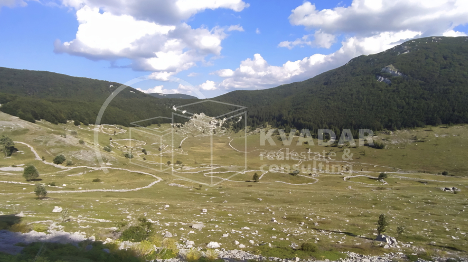 JEDINSTVENA PRILIKA&excl;  Impozantno imanje s golemim turisti&ccaron;kim potencijalom &ndash; Ku&cacute;a 180 m&sup2;&comma; gara&zcaron;e&comma; radiona i top lokacija&excl;