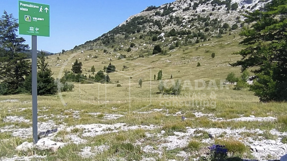 JEDINSTVENA PRILIKA&excl;  Impozantno imanje s golemim turisti&ccaron;kim potencijalom &ndash; Ku&cacute;a 180 m&sup2;&comma; gara&zcaron;e&comma; radiona i top lokacija&excl;