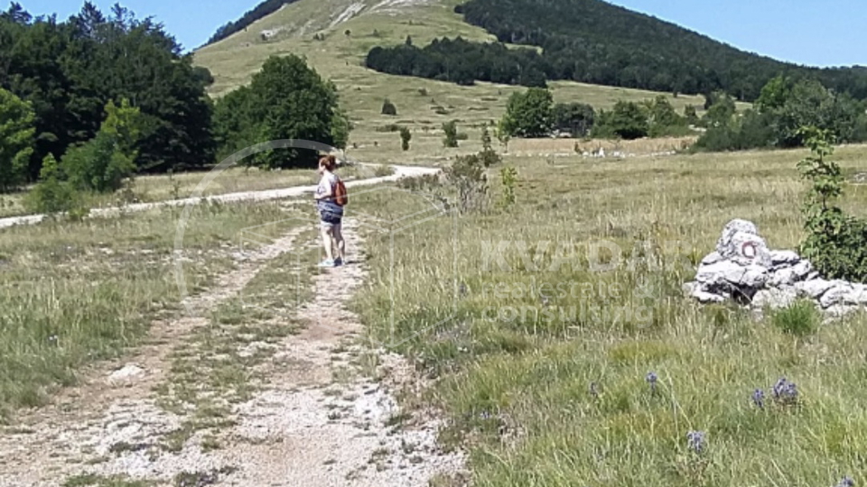 JEDINSTVENA PRILIKA&excl;  Impozantno imanje s golemim turisti&ccaron;kim potencijalom &ndash; Ku&cacute;a 180 m&sup2;&comma; gara&zcaron;e&comma; radiona i top lokacija&excl;