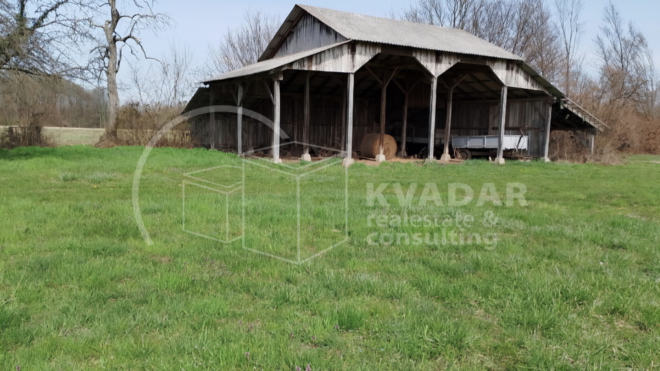 Land&comma; 39323 m2&comma; For Sale&comma; Brckovljani - Tedrovec
