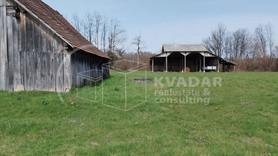 Land&comma; 39323 m2&comma; For Sale&comma; Brckovljani - Tedrovec