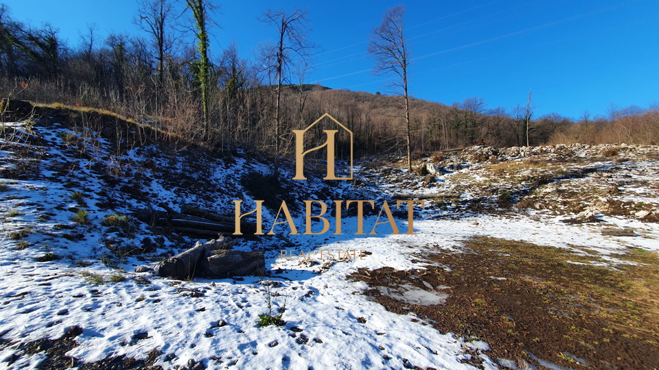 Land, 9500 m2, For Sale, Rukavac