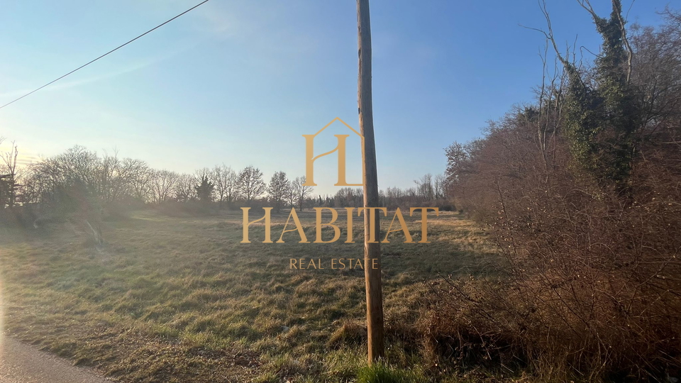 Land, 4973 m2, For Sale, Brtonigla - Fiorini