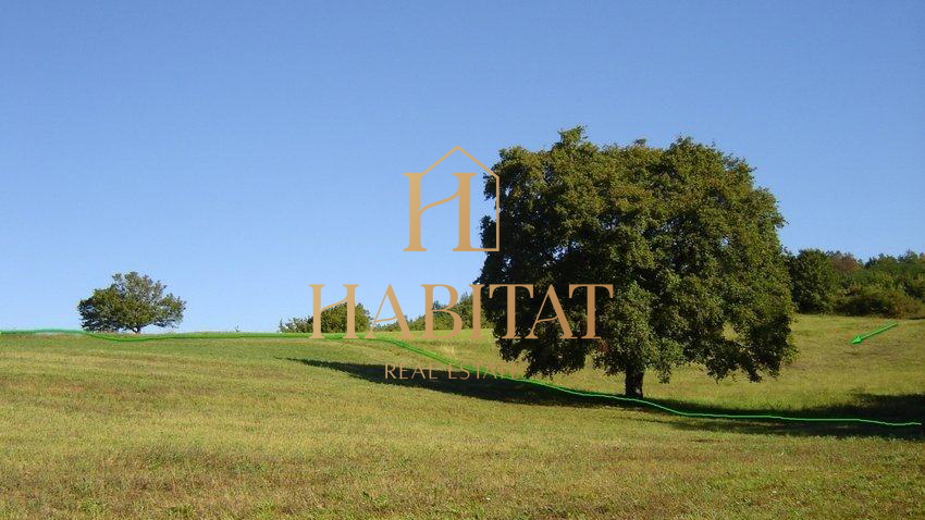 Land, 16637 m2, For Sale, Motovun