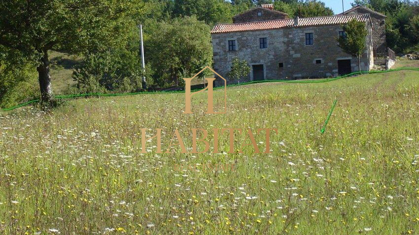 Land, 16637 m2, For Sale, Motovun