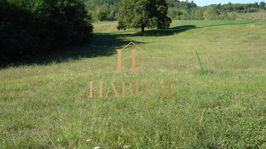 Land, 16637 m2, For Sale, Motovun