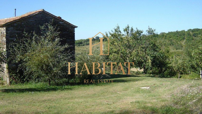 Land, 16637 m2, For Sale, Motovun