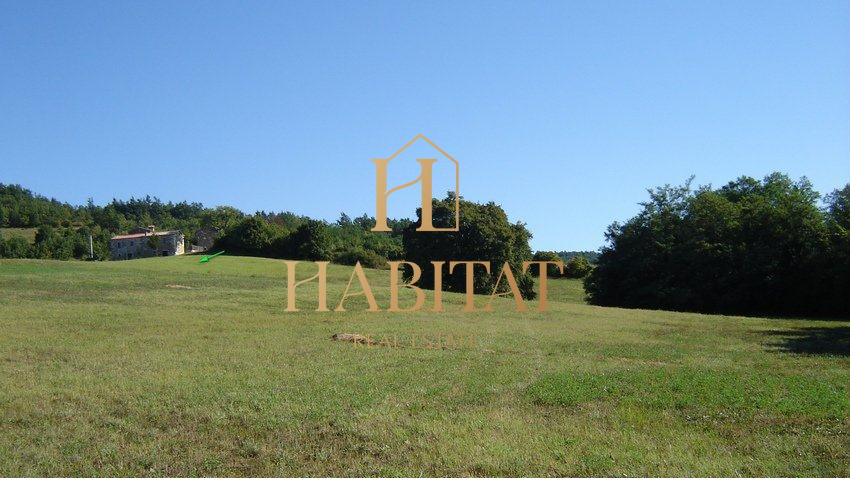 Terreno, 16637 m2, Vendita, Motovun