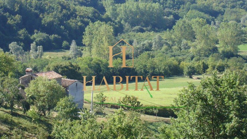 Land, 16637 m2, For Sale, Motovun