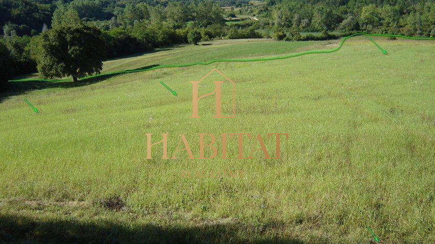 Einzigartige Lage in unberührter Natur, 16.637 m2, in der Nähe von Motovun