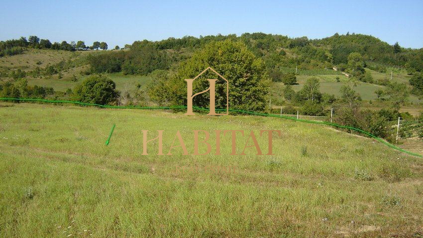 Land, 16637 m2, For Sale, Motovun