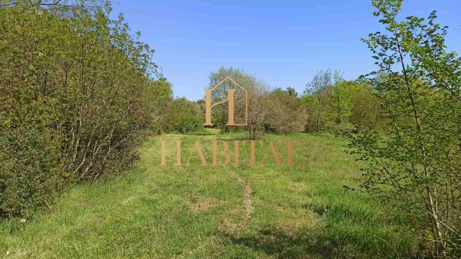 Land, 3000 m2, For Sale, Pavićini