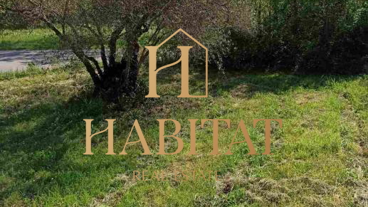 Land, 3000 m2, For Sale, Pavićini