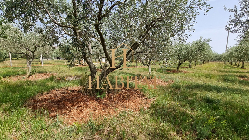 Land, 4573 m2, For Sale, Umag - Monterol