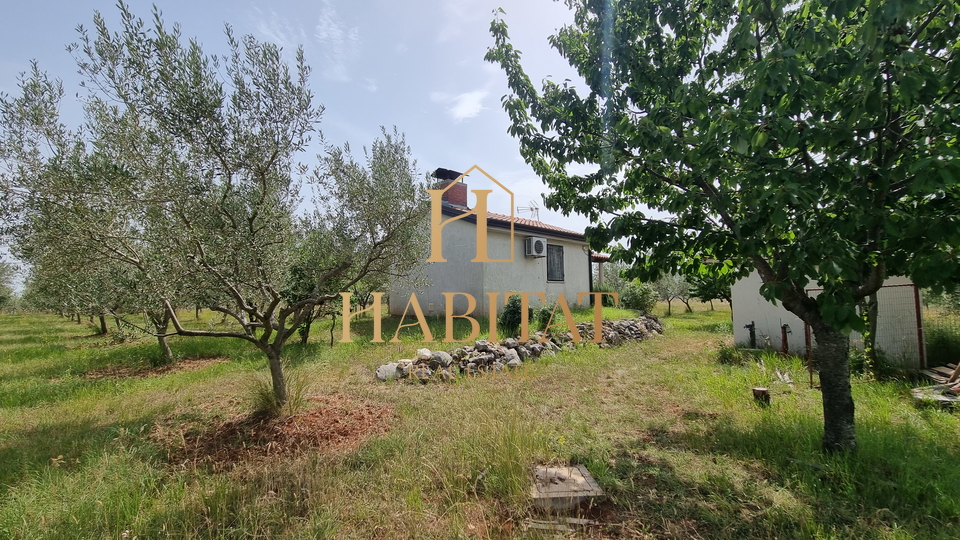 Land, 4573 m2, For Sale, Umag - Monterol