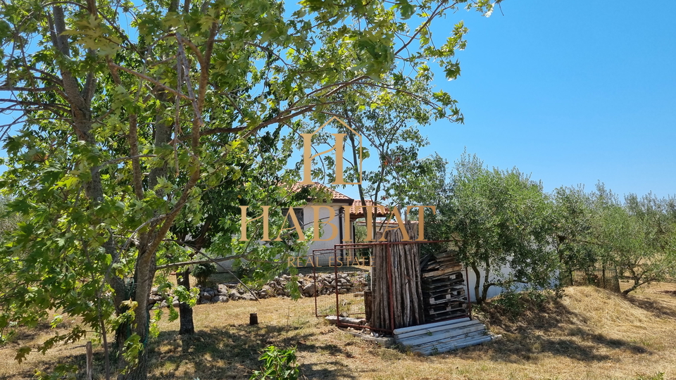 Land, 4573 m2, For Sale, Umag - Monterol