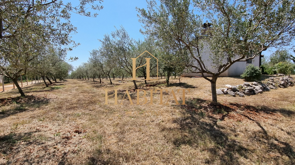 Land, 4573 m2, For Sale, Umag - Monterol