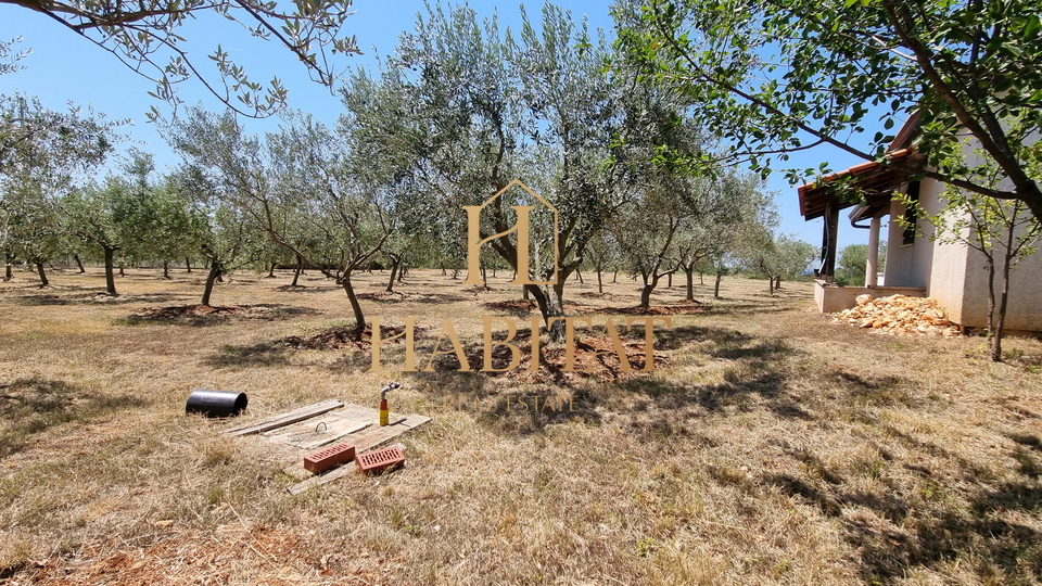 Land, 4573 m2, For Sale, Umag - Monterol