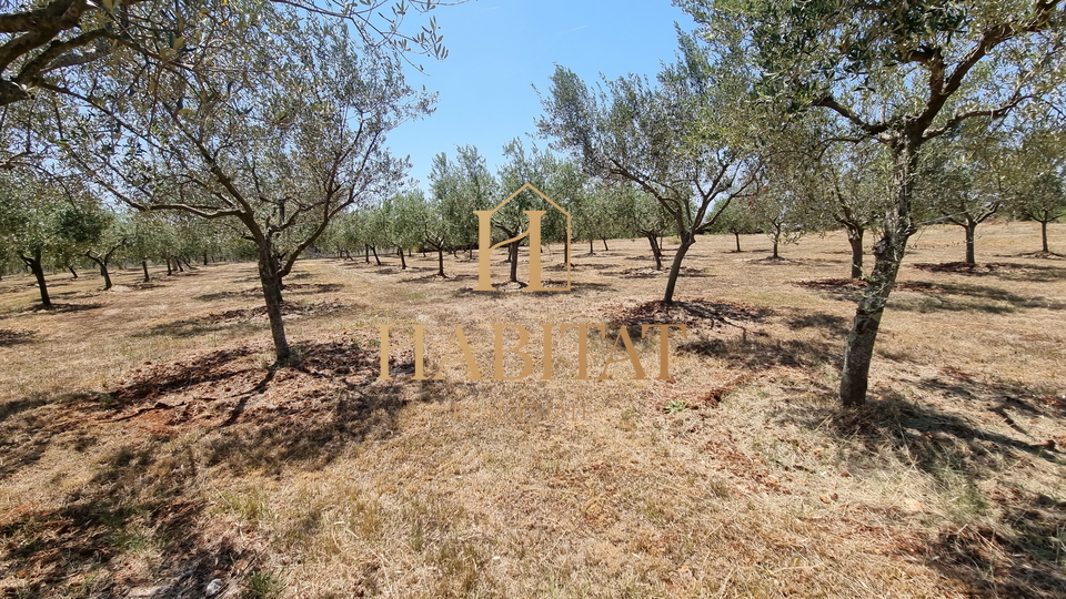 Land, 4573 m2, For Sale, Umag - Monterol