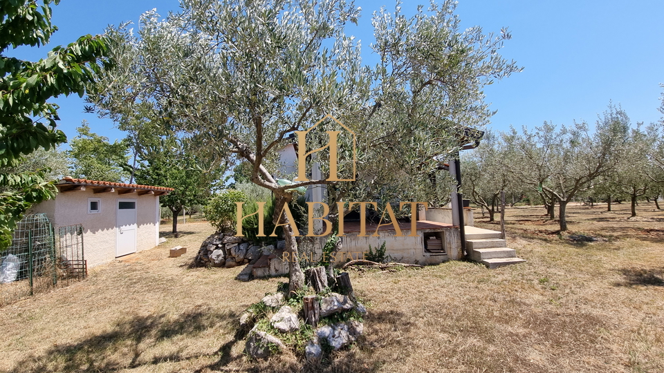 Land, 4573 m2, For Sale, Umag - Monterol