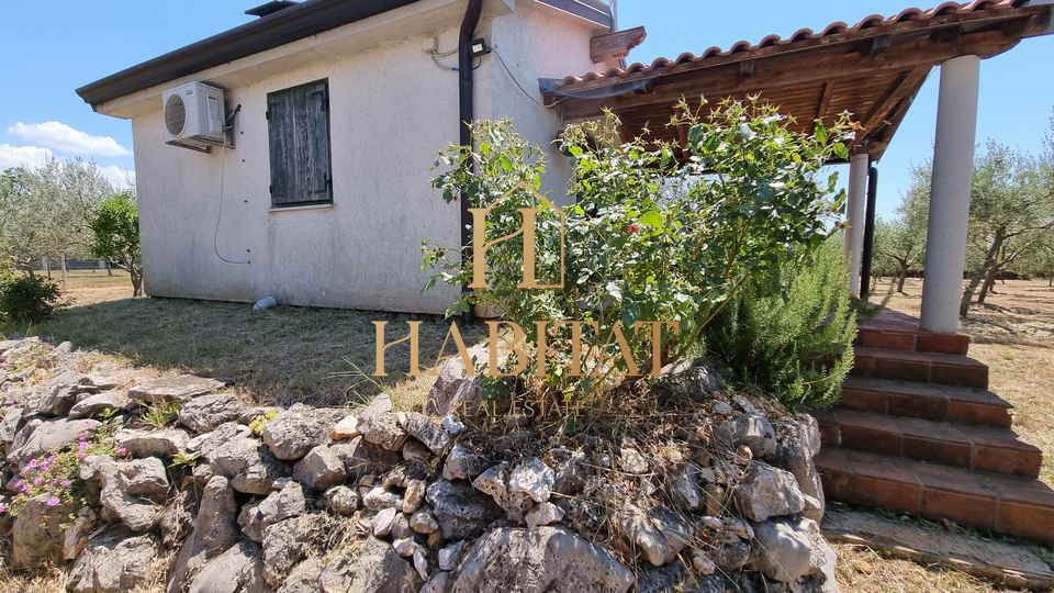 Land, 4573 m2, For Sale, Umag - Monterol