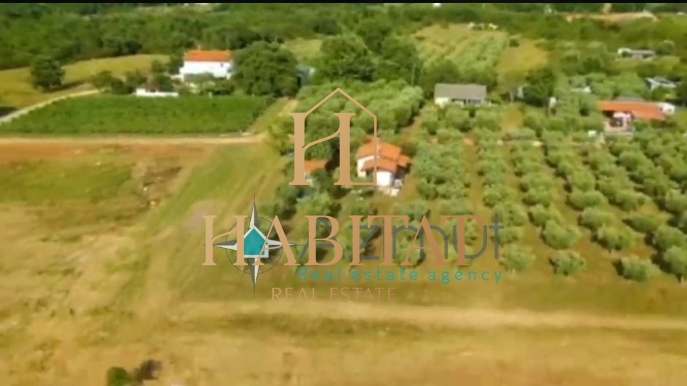 Land, 4573 m2, For Sale, Umag - Monterol