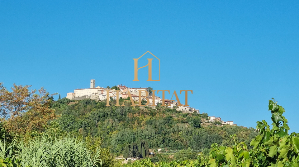 SCHÖNER BLICK AUF MOTOVUN, landwirtschaftliches Grundstück 3213m2