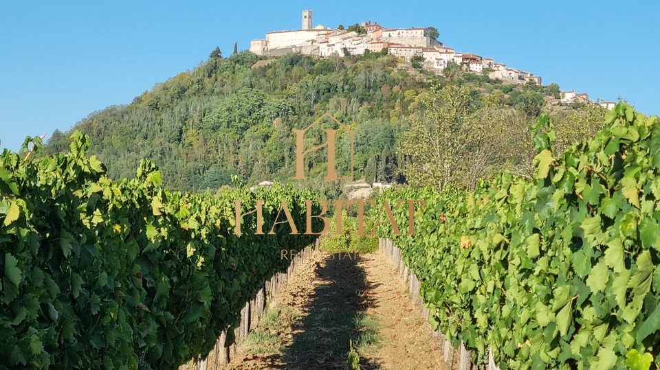 SCHÖNER BLICK AUF MOTOVUN, landwirtschaftliches Grundstück 3213m2