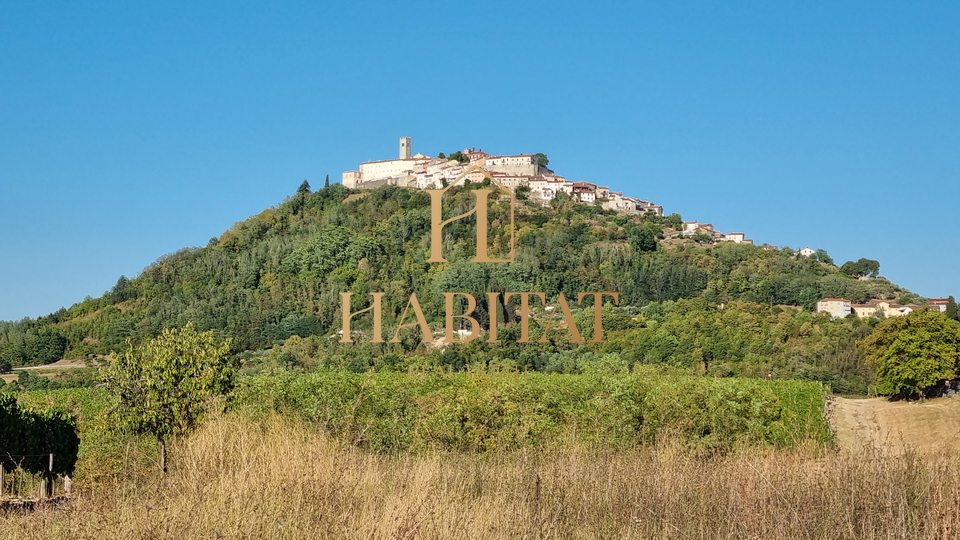 SCHÖNER BLICK AUF MOTOVUN, landwirtschaftliches Grundstück 3213m2