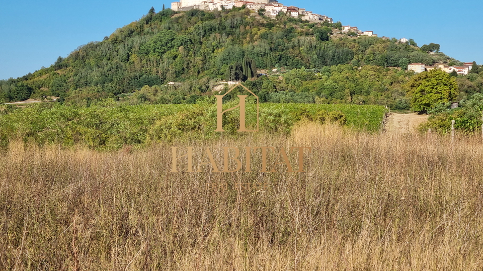 SCHÖNER BLICK AUF MOTOVUN, landwirtschaftliches Grundstück 3213m2