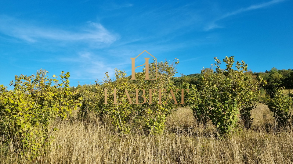 Land, 4485 m2, For Sale, Motovun - Brkač